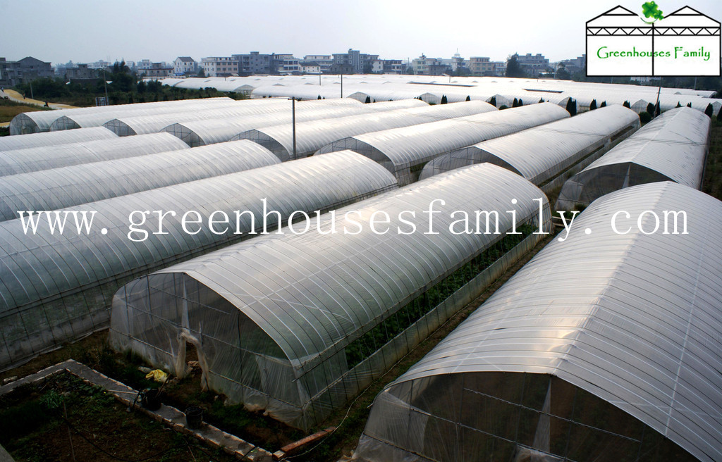 Plastic Tunnel Greenhouses for Agriculture  Made in Korea